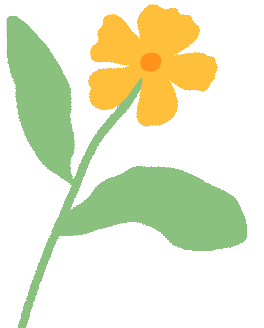 4.gif