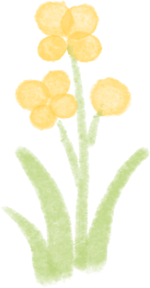 a.png