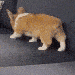 6387124748792053945035131.gif