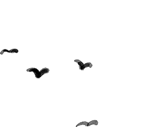 6387859551100544558873194.png
