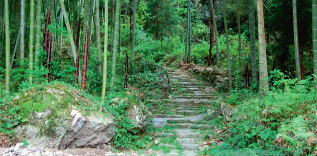 温州岭古道一段