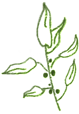 6.png