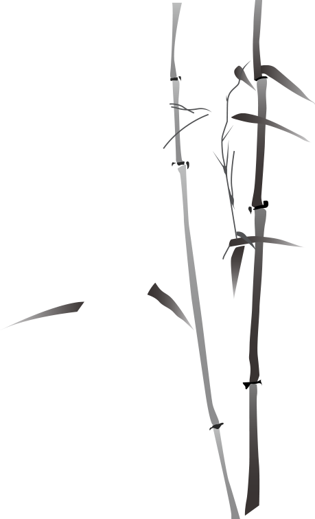 2.png 2.png
