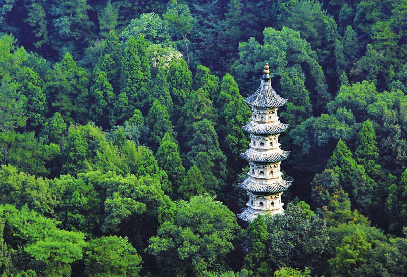 瑞隆感应塔远景