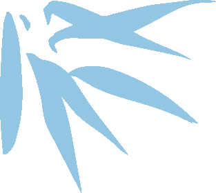 2.png 2.png