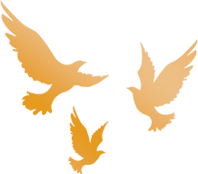 微信图片_20241001093022.png 微信图片_20241001093022.png
